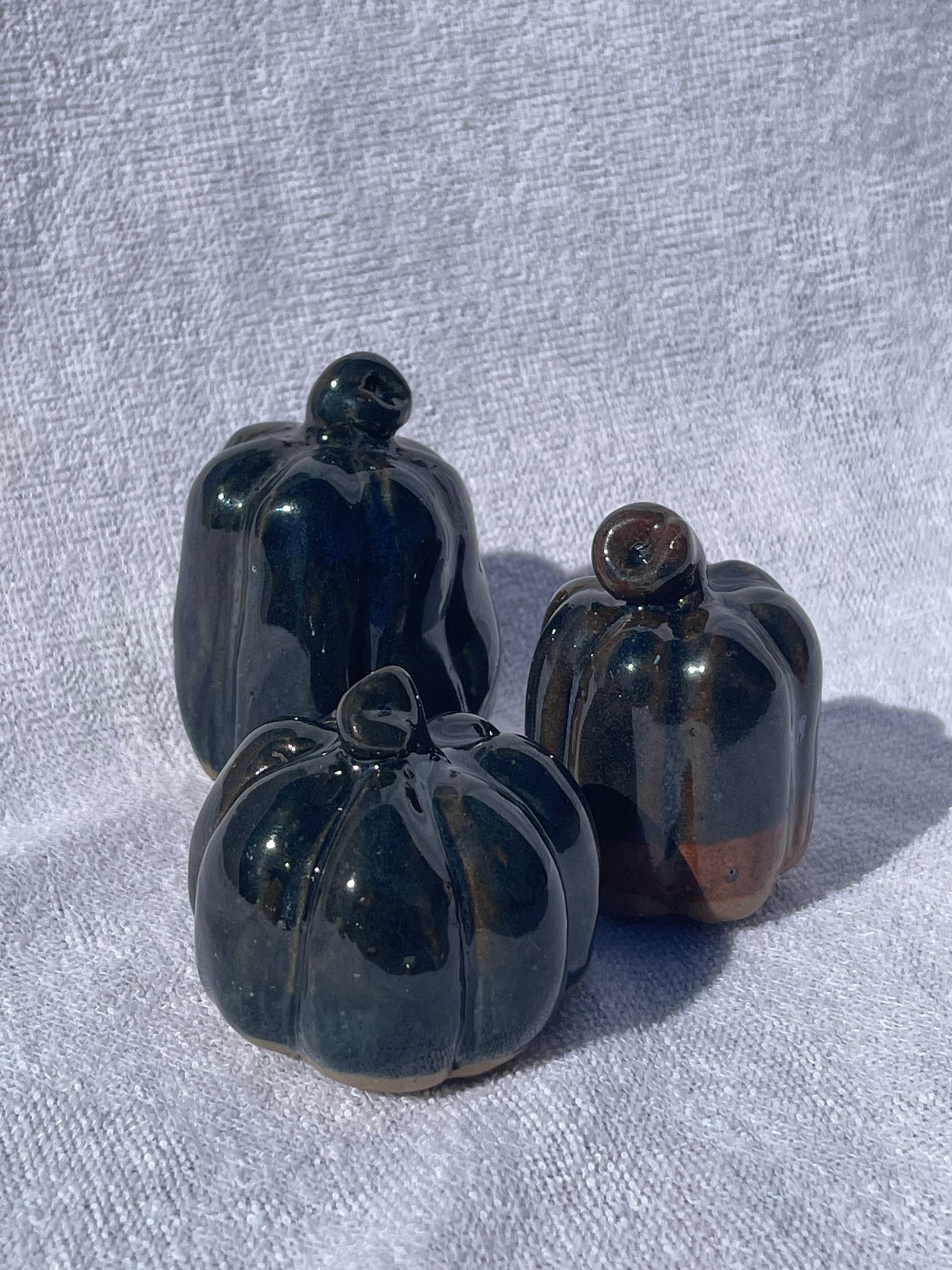 Mini Pumpkins: Midnight (Set of 3)