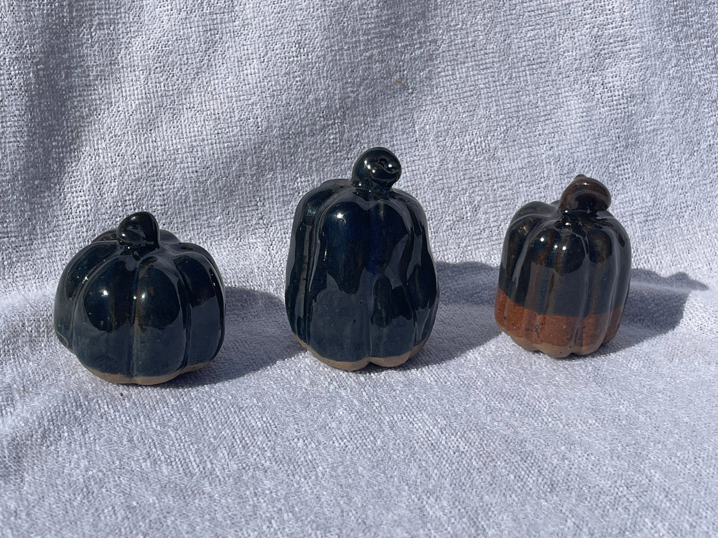 Mini Pumpkins: Midnight (Set of 3)